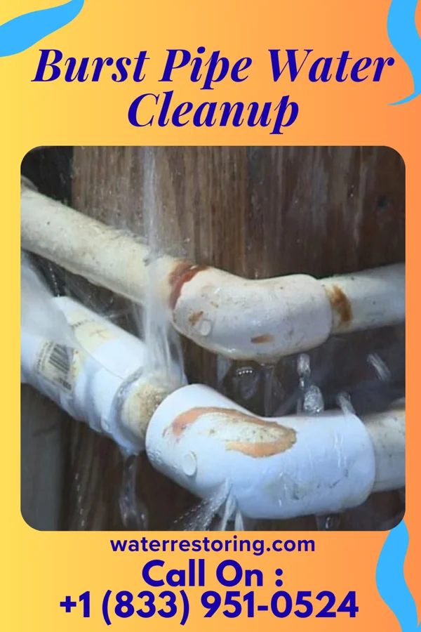 Burst Pipe Water Cleanup in Troutville, PA