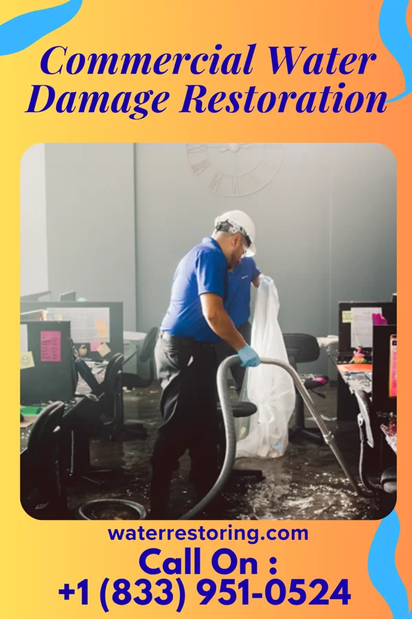 Commercial Water Damage Restoration in Troutville, PA