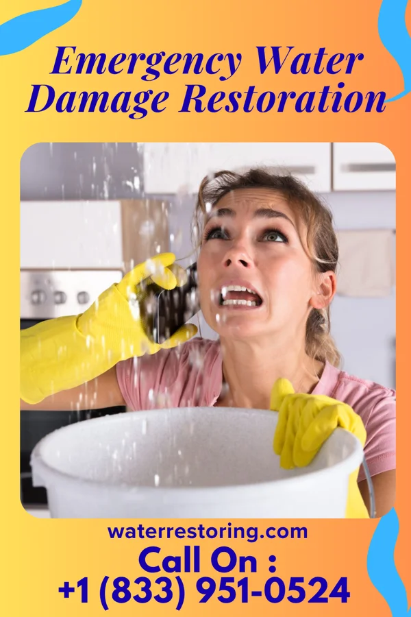Emergency Water Damage Restoration in Troutville, PA