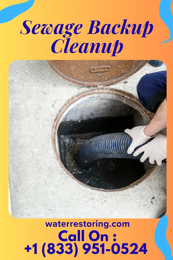 Sewage Backup Cleanup in Troutville, PA